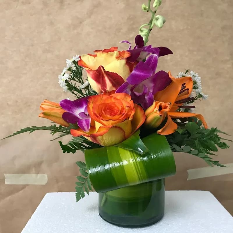 Parque Infantil Las Flores playground in Toa Baja, PR