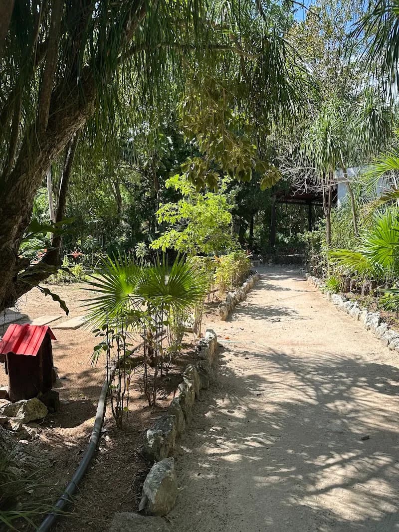 View of Parque Kabah in Cancun, QR