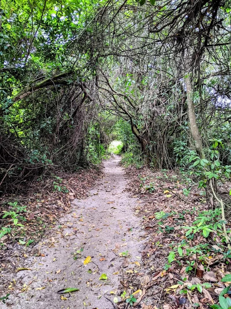 Parque Natural Municipal Chico Mendes city park in Recreio dos Bandeirantes, RJ
