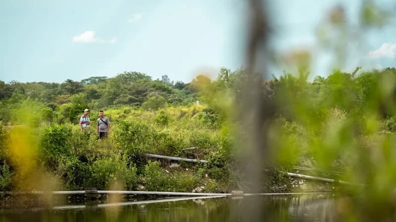 View of Pasir Ris Farmway 1 in Pasir Ris, SG