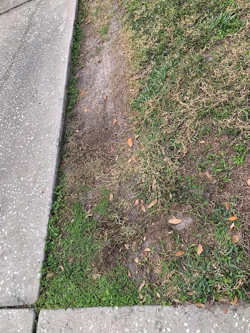 View of Pebble Creek Park in Brandon, FL