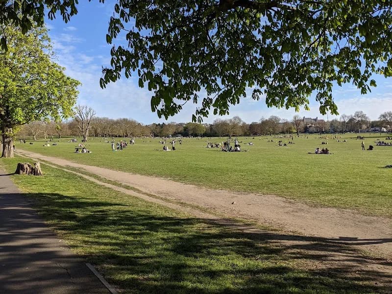 View of Peckham Rye Park & Common in Dulwich, London