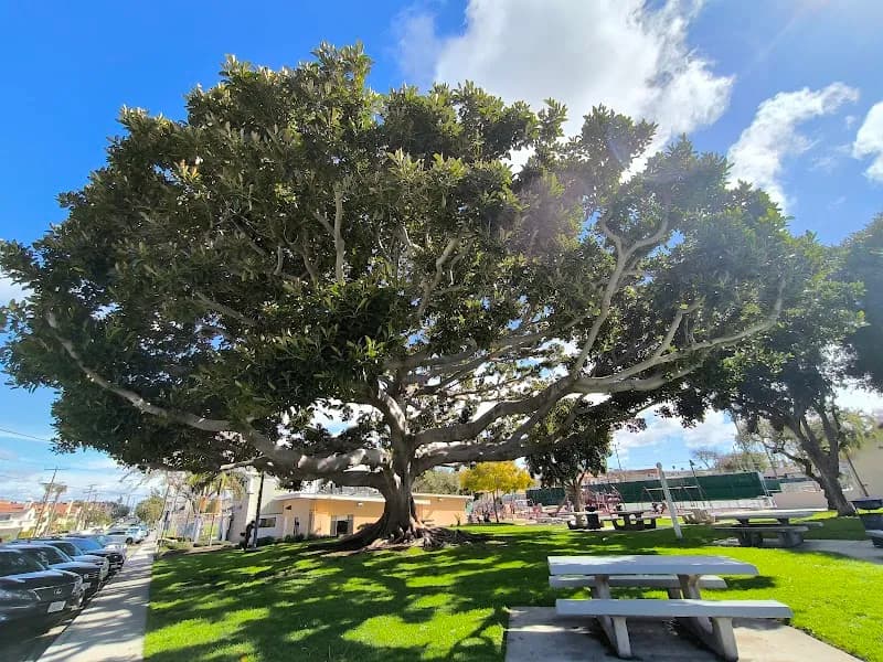 Perry Park park in Redondo Beach, CA