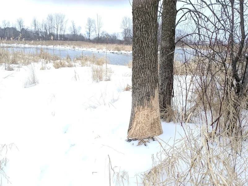 View of Pewaukee River Parkway in Pewaukee, WI