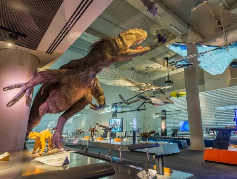 View of Phillip & Patricia Frost Museum of Science in Miami, FL