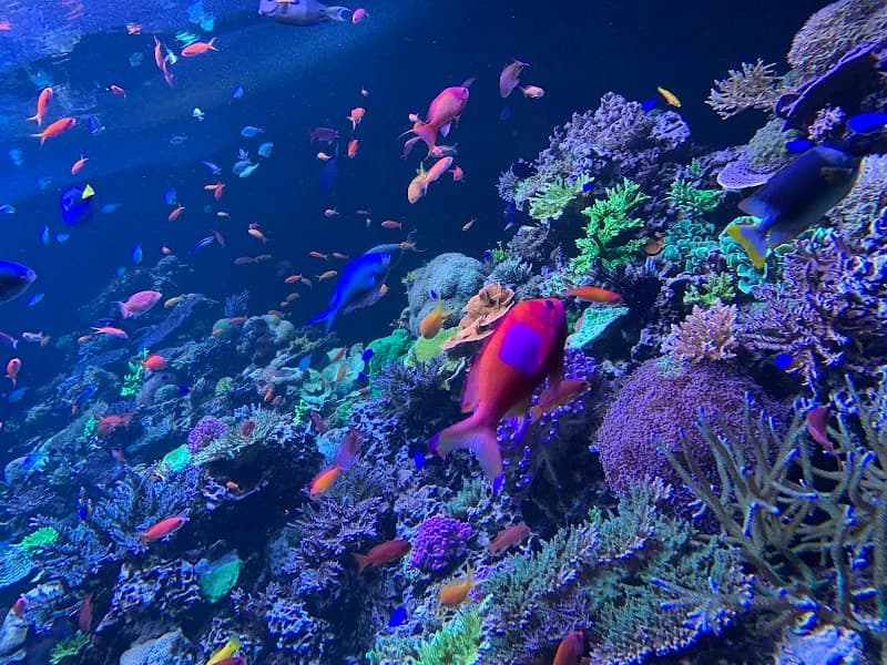 View of Phillip & Patricia Frost Museum of Science in Miami, FL