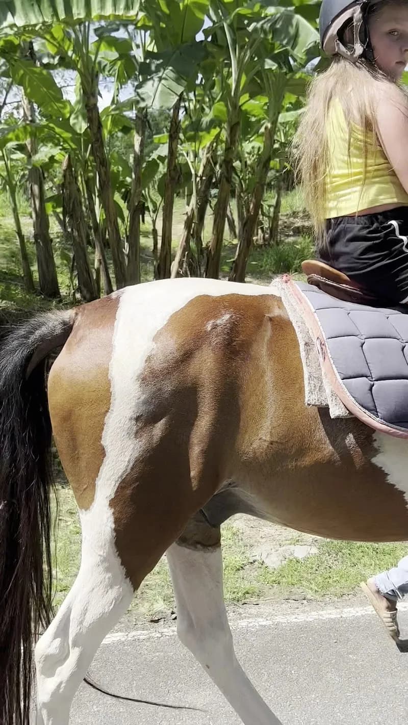 View of Phuket Horse Club in Phuket, PKT