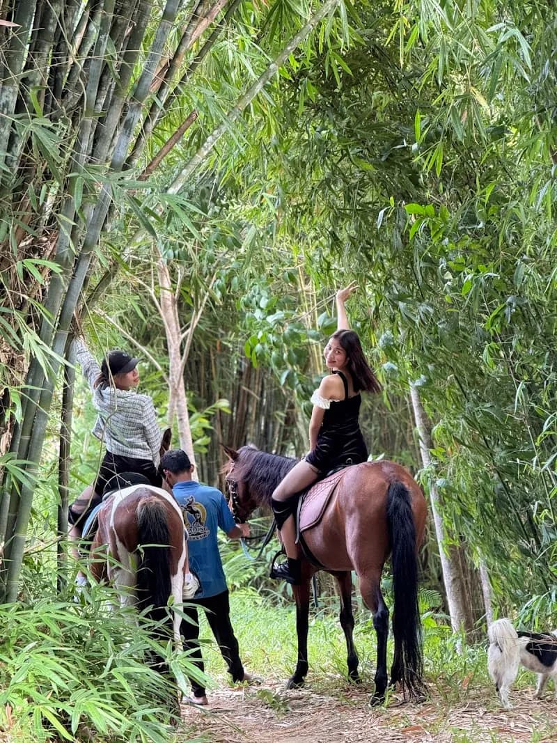 View of Phuket Horse Club in Phuket, PKT