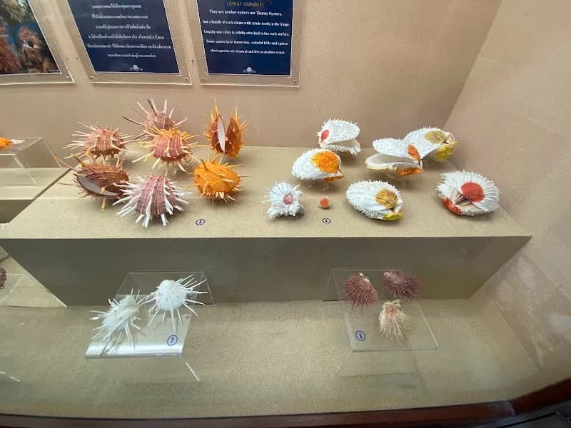 View of พิพิธภัณฑ์หอยภูเก็ต (Phuket Seashell Museum) in Phuket, PKT
