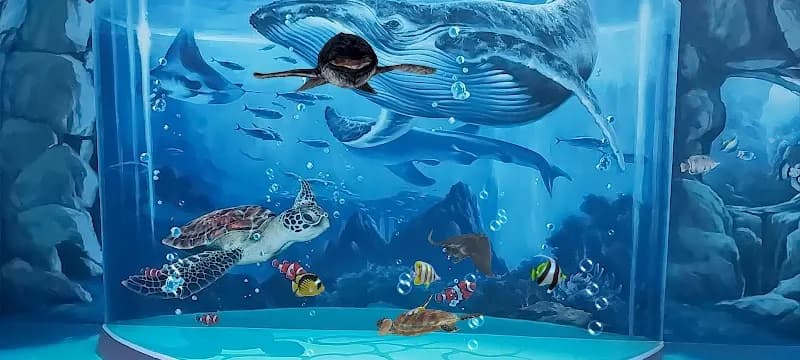 View of Phuket Trickeye Museum in Phuket, PKT