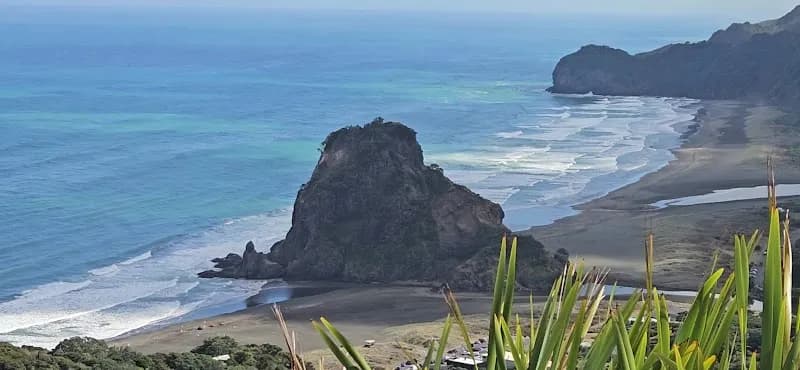 View of Piha Valley Walk in Piha, AKL