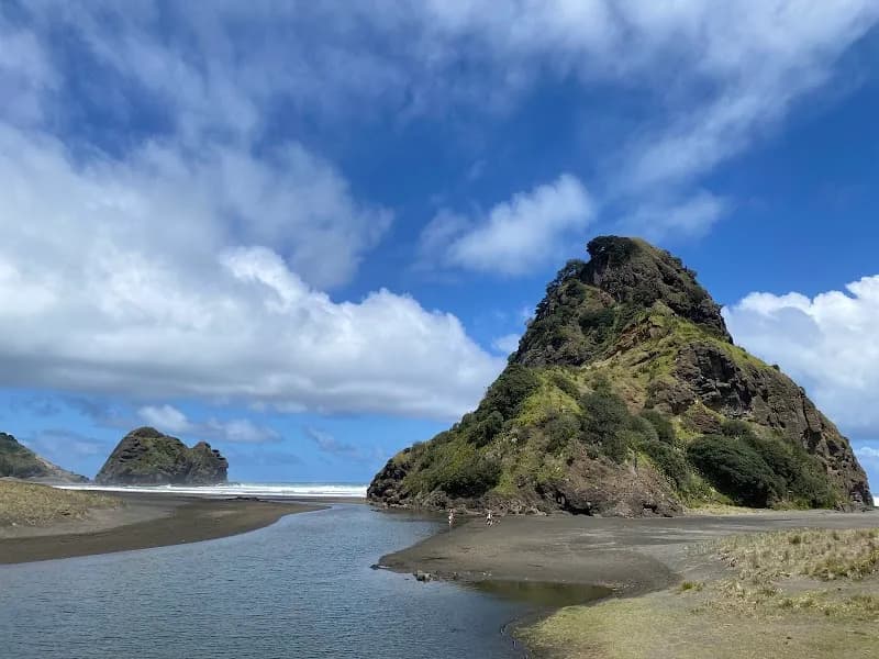View of Piha Valley Walk in Piha, AKL