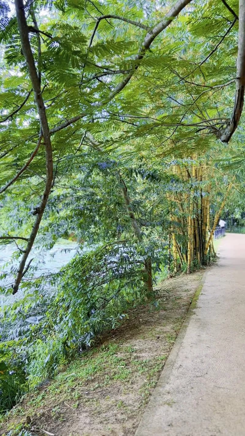 View of Piliyandala Lake Park in Piliyandala, WP