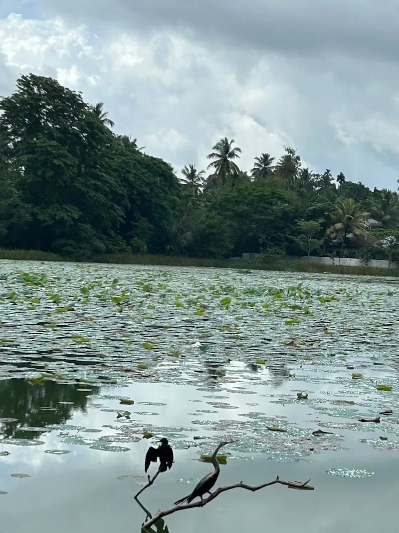 View of Piliyandala Lake Park in Piliyandala, WP