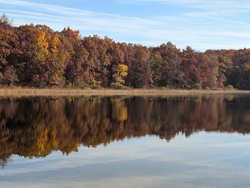 View of Pinckney Recreation Area in Pinckney, MI