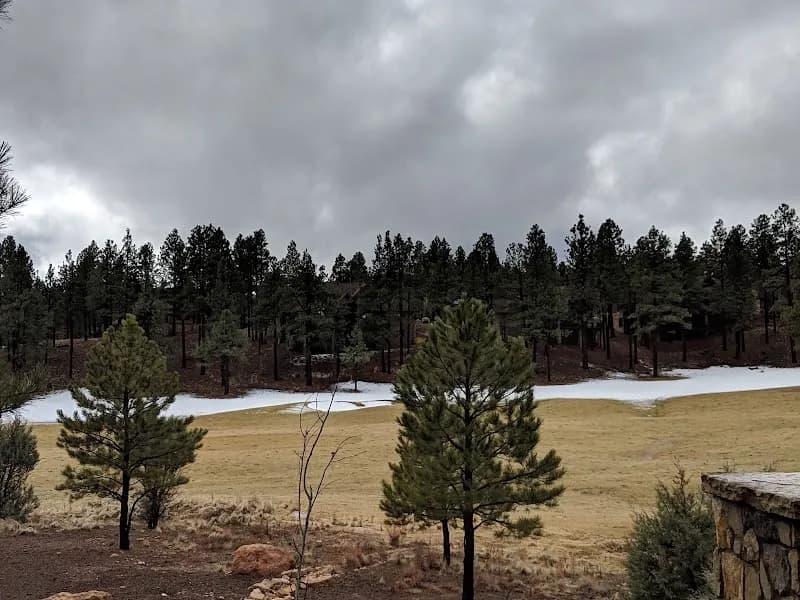 View of Pine Canyon in Flagstaff, AZ