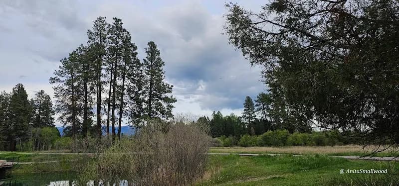 View of Pine Grove Pond in Whitefish, MT