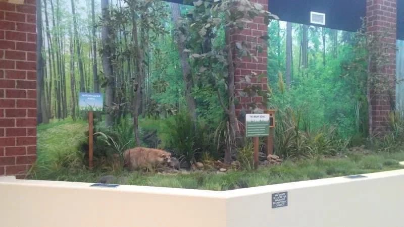 View of Pineville Elementary School in Pineville, NC