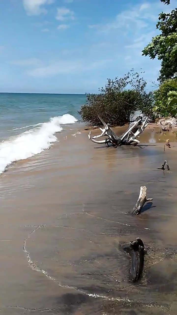 View of Pioneer County Park in Muskegon, MI