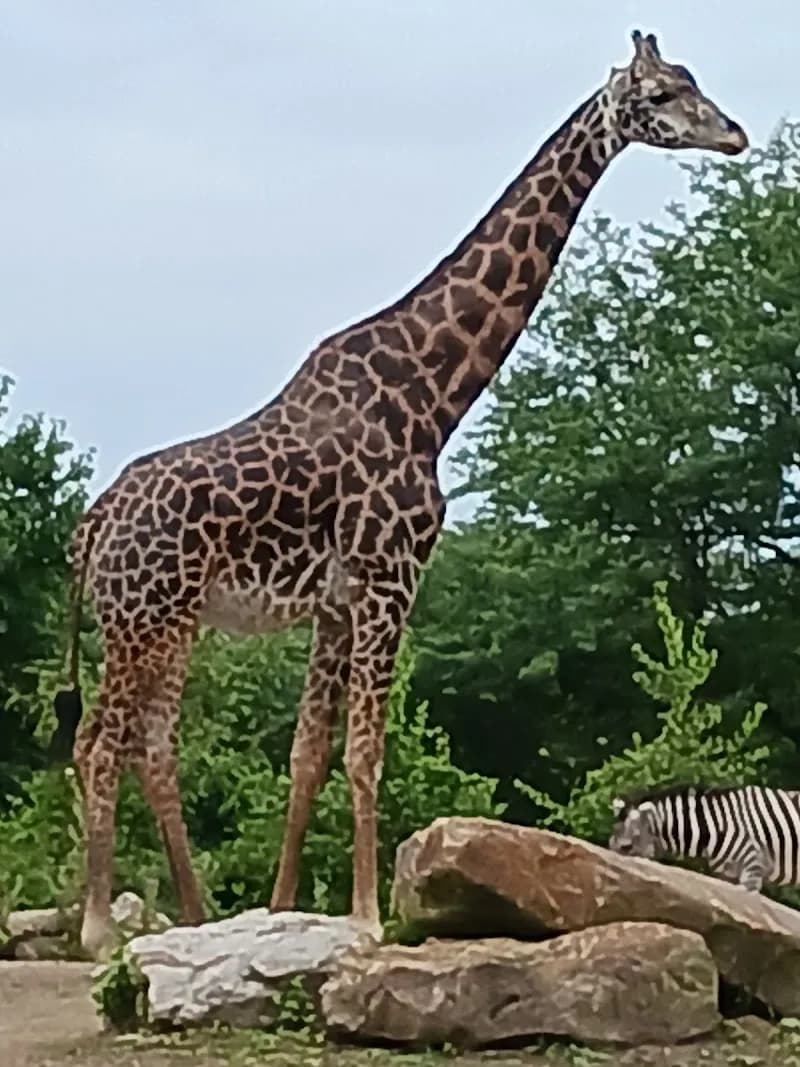 View of Pittsburgh Zoo & Aquarium in Pittsburgh, PA