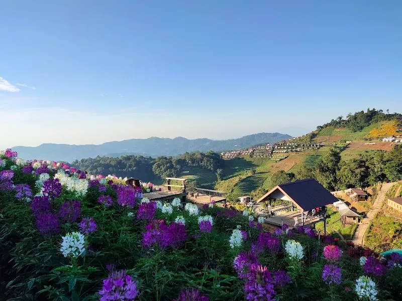 Plai Fa Strawberry Farm farm in Mae Rim, CM