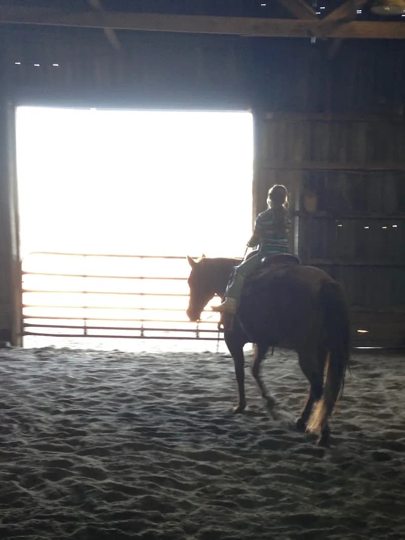 View of Plainview Stables in Belton, MO