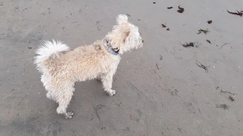 View of Playa Agua Dulce in Lima, LIM
