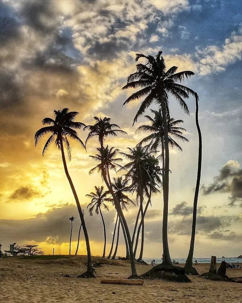 View of Playa De Vega in Vega Alta, PR