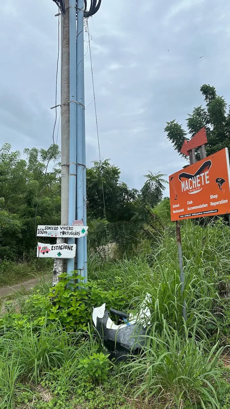 Playa Punta Chame tourist attraction in Punta Chame, PA