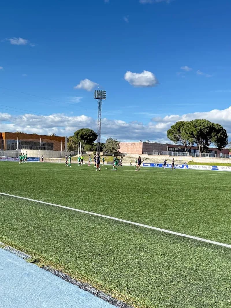 Polideportivo Dehesa de Navalcarbón sports complex in Las Rozas de Madrid, Madrid