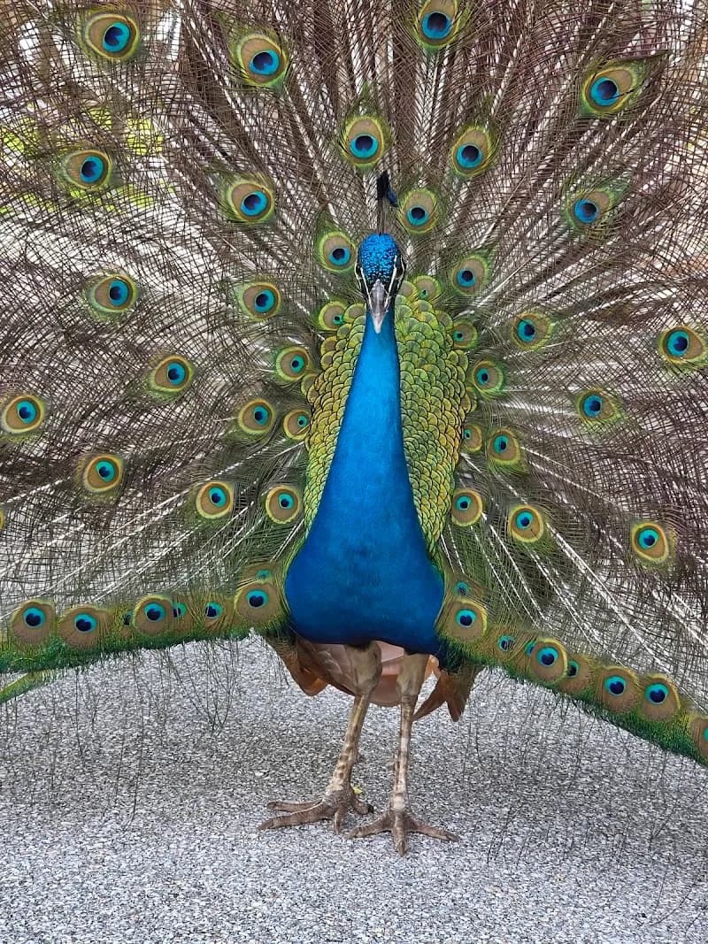 View of Ponce de Leon's Fountain of Youth Archaeological Park in St. Augustine, FL