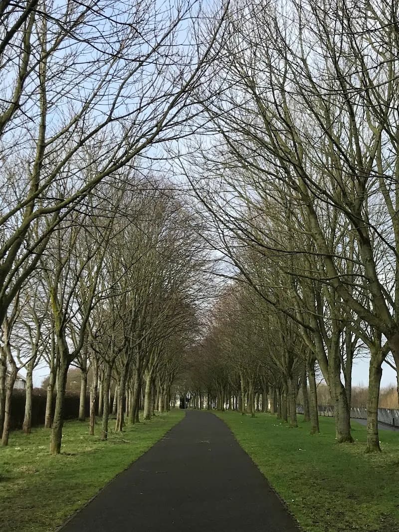 View of Poppintree Park in Ballymun, D