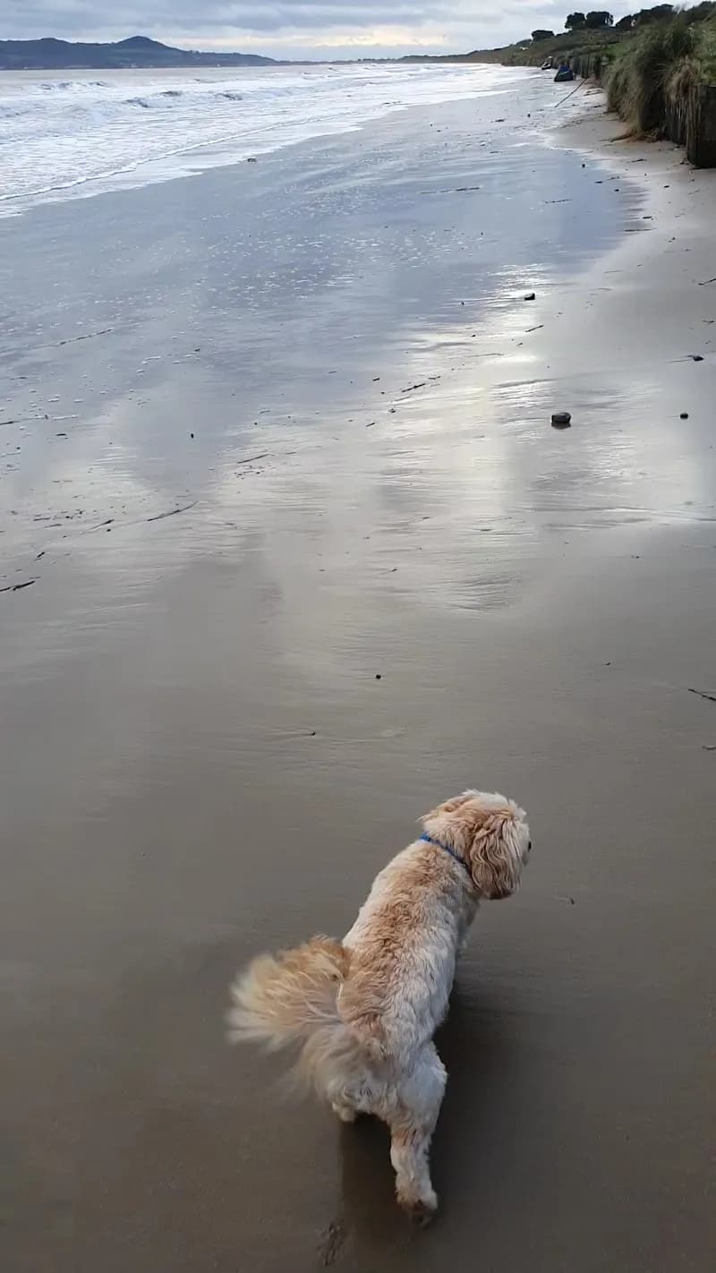View of Portmarnock Village Park in Portmarnock, D