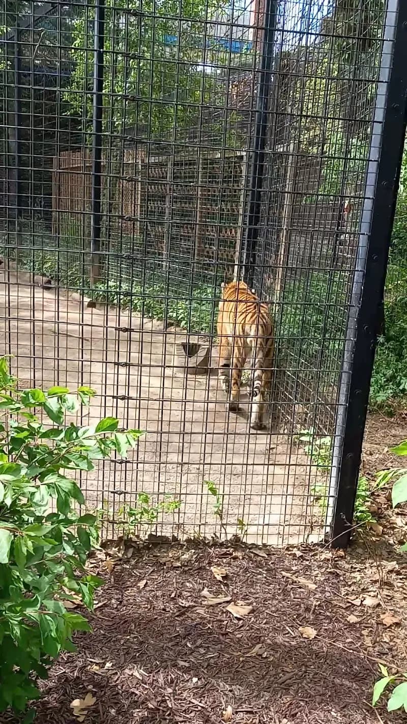 View of Potter Park Zoo in Lansing, MI