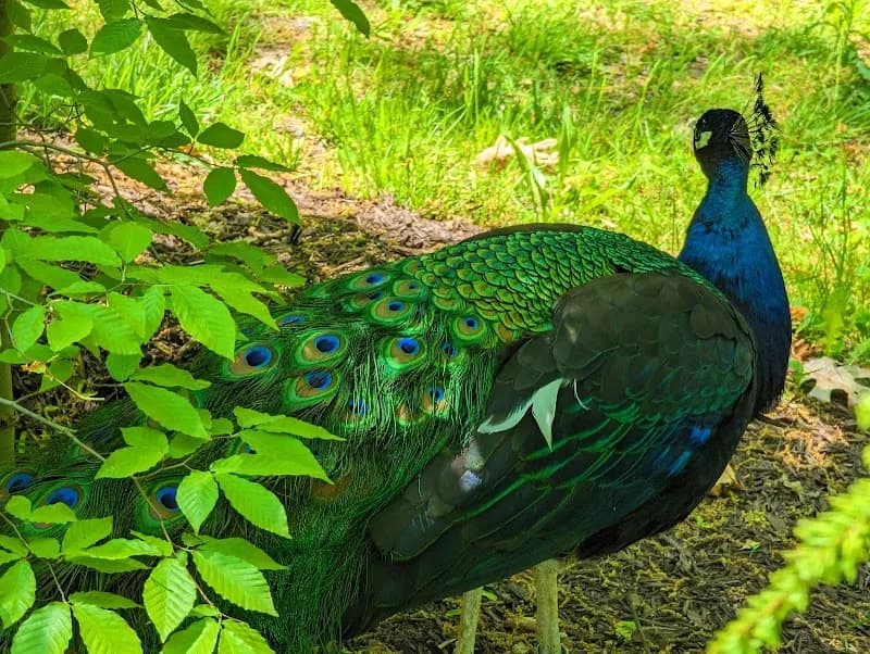 View of Potter Park Zoo in Lansing, MI