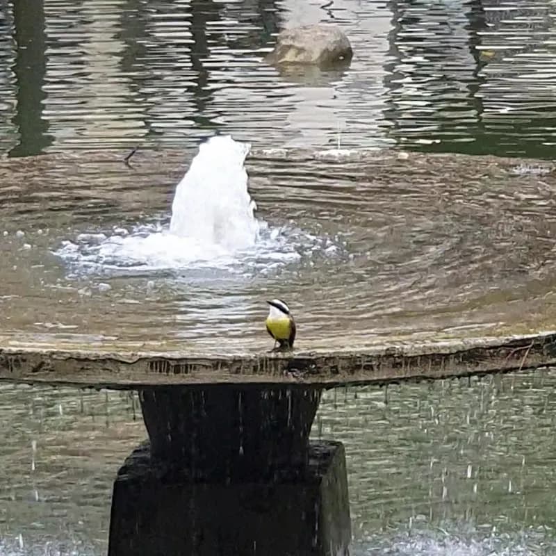 View of Praça da República in Barueri, SP