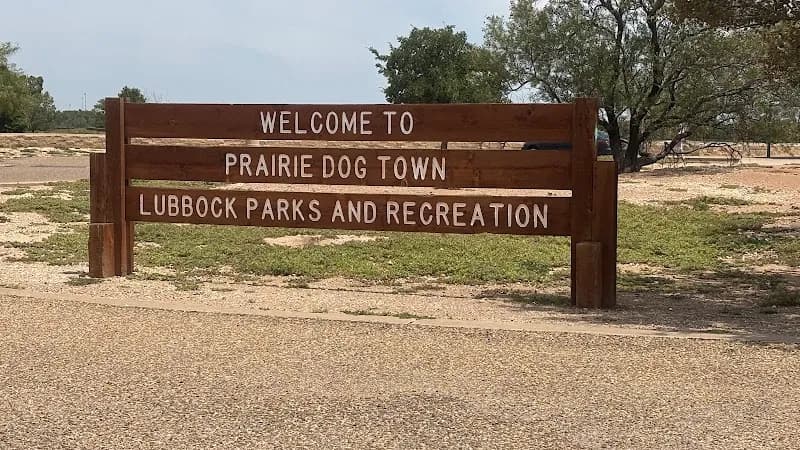 View of Prairie Dog Town in Lubbock, TX