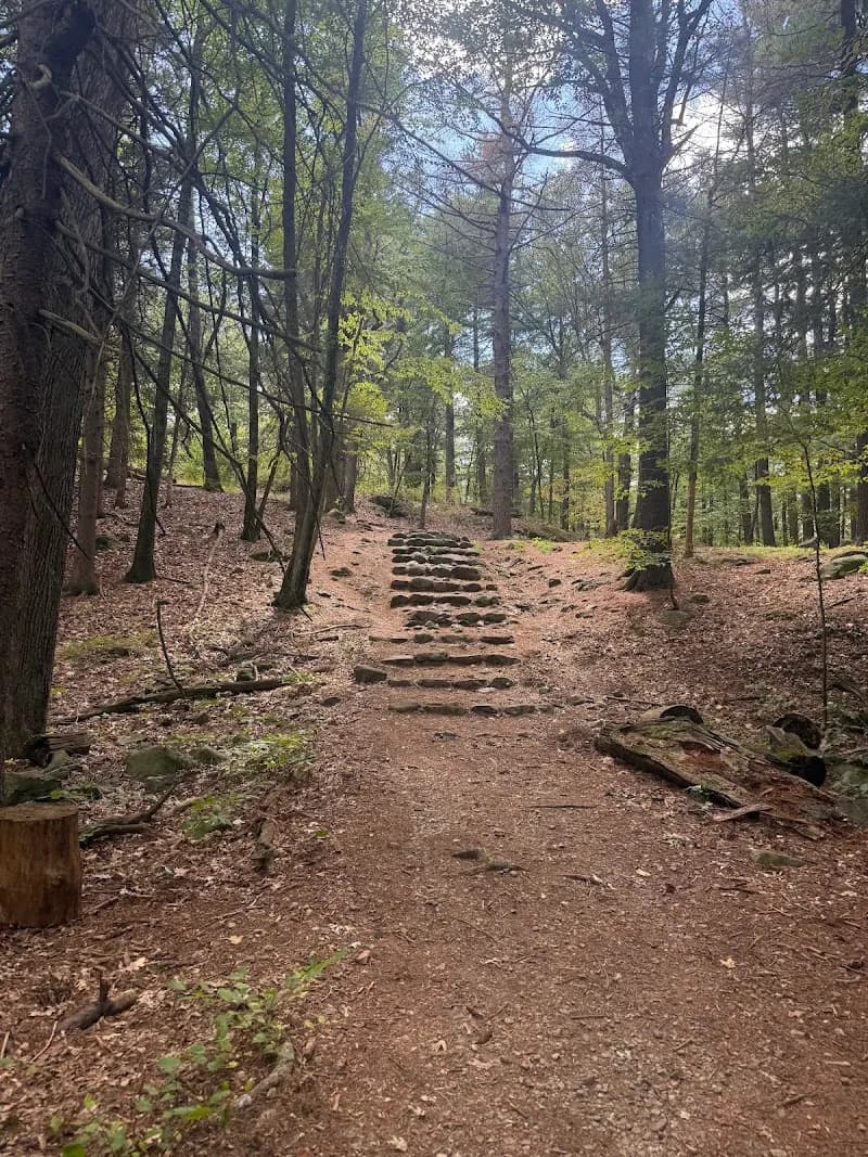 View of Prospect Hill Park in Waltham, MA