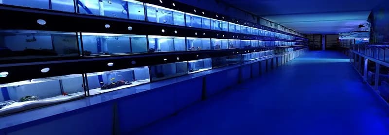 Public Aquarium Nautilus aquarium in Lima, LIM