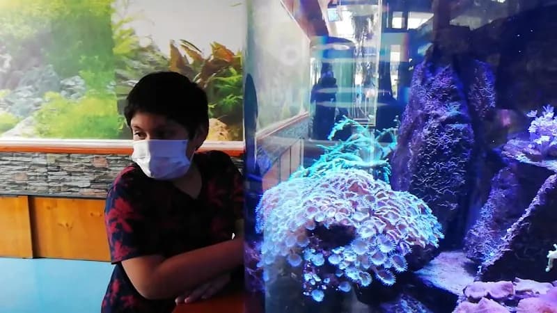 View of Public Aquarium Nautilus in Lima, LIM
