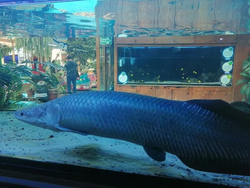View of Public Aquarium Nautilus in Lima, LIM