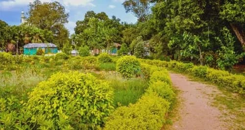 Public Garden garden in Airoli, MH