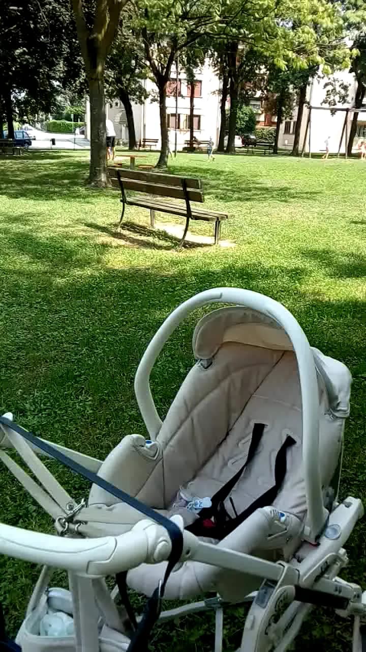 View of Public park "Berry's park" in Dolo, VE