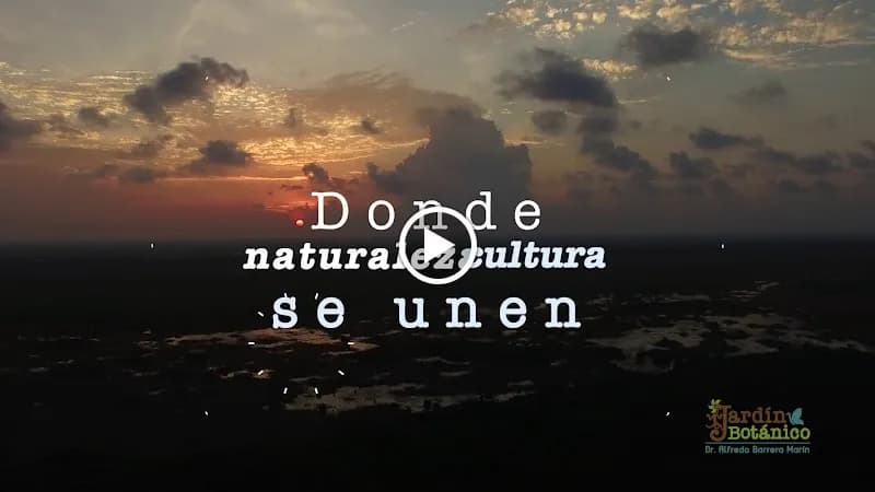 View of Puerto Aventuras Botanical Garden in Puerto Aventuras, QR