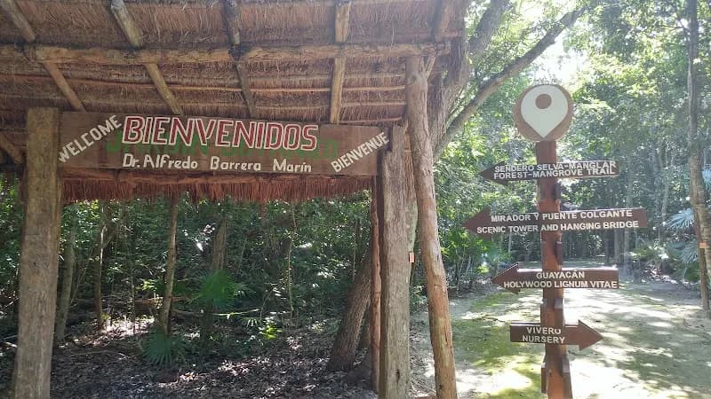 View of Puerto Aventuras Botanical Garden in Puerto Aventuras, QR