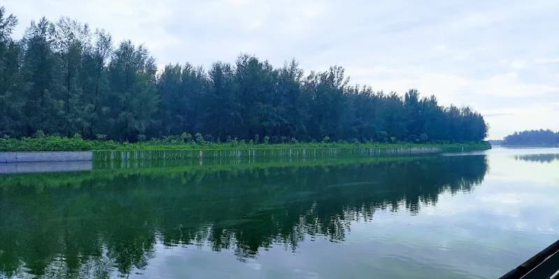 Punggol Promenade Nature Walk route in Punggol, SG