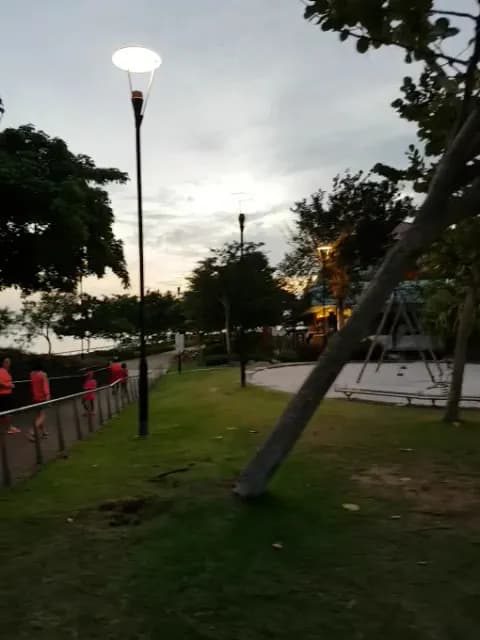 View of Punggol Promenade Nature Walk in Punggol, SG