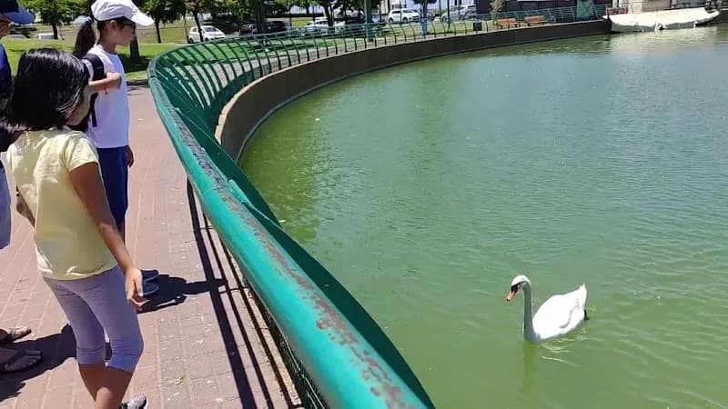 View of Ra'anana Park in Raanana, TA