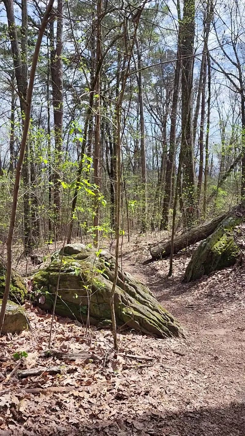 View of Rainbow Mountain Nature Preserve in Double Springs, AL