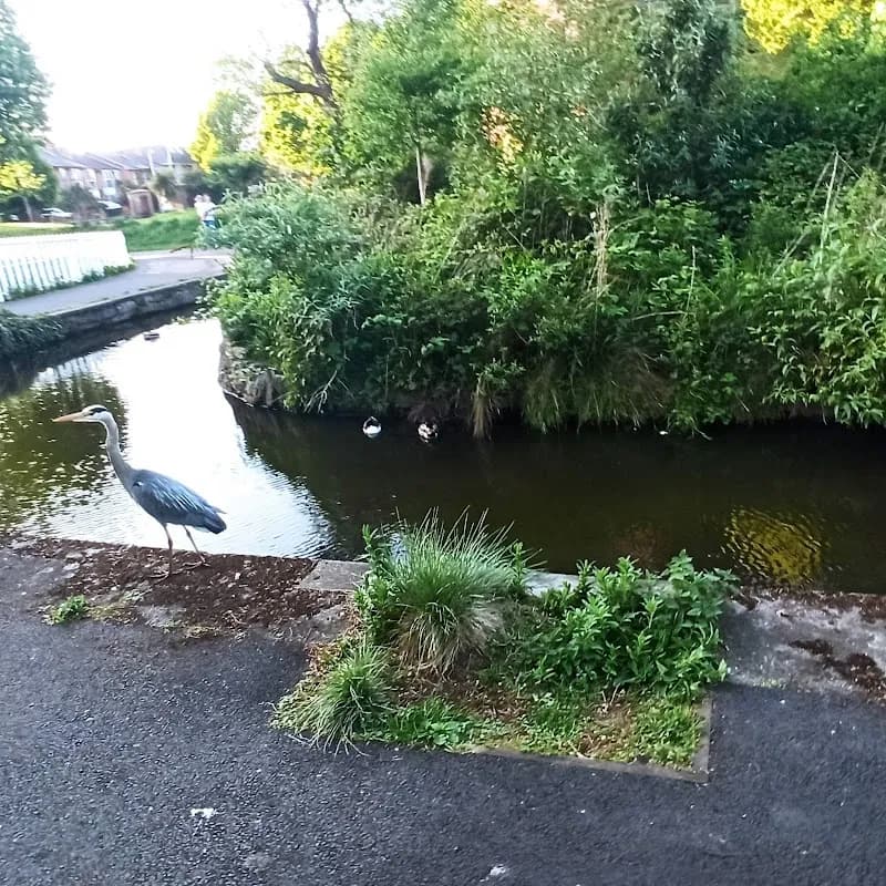 View of Ranelagh Gardens Park in Ranelagh, D